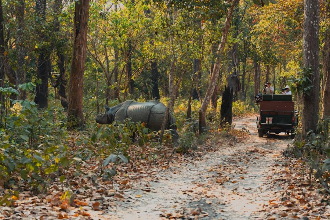 Chitwan